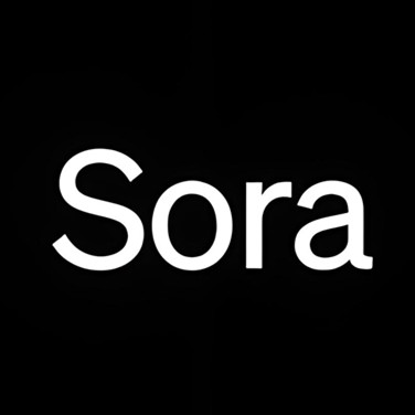 Sora1.1