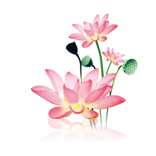 水墨工具箱app1.1.7