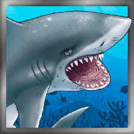 欢乐钓鱼大师助手v1.5