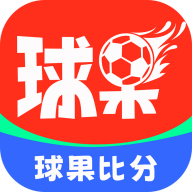 球果比分