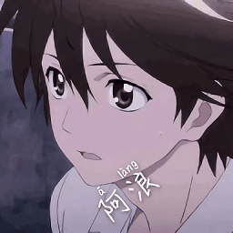 HZZSPRO画质助手2.1