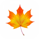 香肠派对枫叶辅助器1.94.01