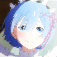 杨杨辅助器1.91.00