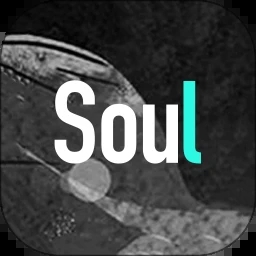 soul海外版v4.20.0