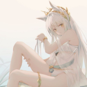 甚挽框架专属防闪1.0