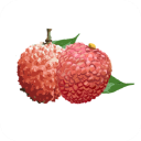 增城泊车app1.5.3