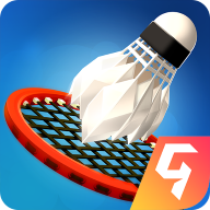 羽毛球高高手国际服5.60.5089.0