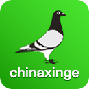 中信网信鸽信息网