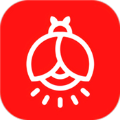 火萤壁纸app10.1.24
