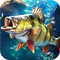 欢乐钓鱼大师内置菜单版1.0.0.48207