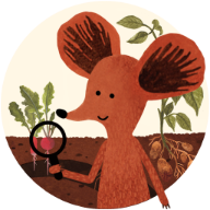 小棕鼠百科(小松鼠的生活中文版)