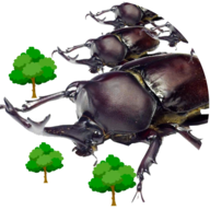 AttackBeetle独角仙模拟器