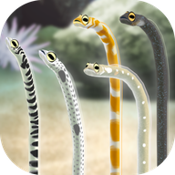 斑鳝花园(养育花园鳗的治愈游戏安卓版)