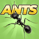 Pocket Ants(口袋蚂蚁模拟器)