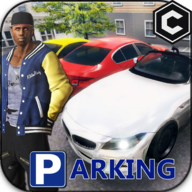 Real Parking - OpenWord Parking Game(真实停车王2020)