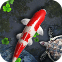 鱼池动态壁纸（Koi）