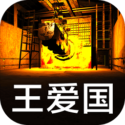 孙美琪疑案王爱国手机版v1.0.1