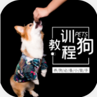 训狗教程1.0.7
