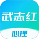 武志红心理6.6.2