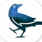 乌鸦之夜完整版