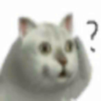 MurCat(mur猫模拟器中文手机版)