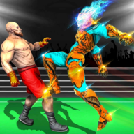 美国机器人格斗安卓版