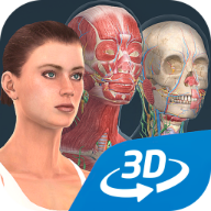 Human body (female)(人体系统女性3d专业中文版)