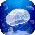 Jellyfish(养育水母的治愈游戏)