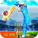 世界板球联赛完整版