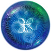 星噬中文版v2.6.6