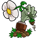 植物大战僵尸e版支线手机版金坷垃版