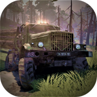 越野货运模拟器(OffroadTrucksDriverDelivery)1.0