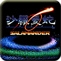 沙罗曼蛇无敌版1.1