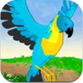 小小鹦鹉模拟器1