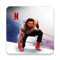 WWE2K25手游版v1.1.8117