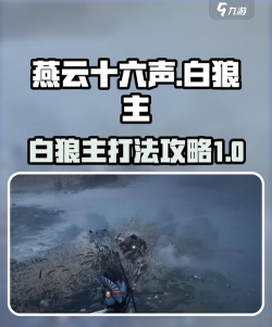 《燕云十六声》浴血难度白狼主打法及特点介绍