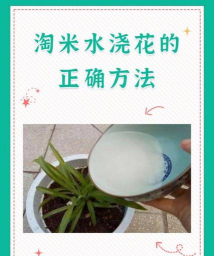 《燕云十六声》家园田地浇水方法教学