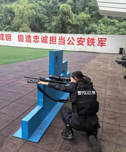 共和国之辉中国怎么复制狙击手？