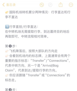 逆转飞机游戏攻略，轻松掌握技巧，快速通关秘籍