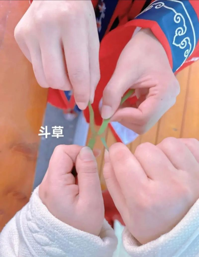 狂暴斗草游戏怎么玩，快速上手技巧，新手避坑指南