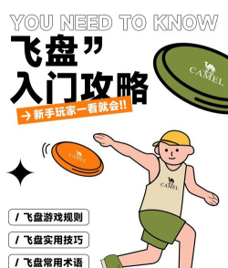 盘子游戏试玩攻略，新手快速上手，掌握核心玩法