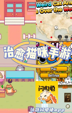 保卫小猫游戏攻略，轻松通关技巧，快速上手方法