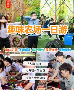 野炊什么游戏可以玩，推荐几款，帮你找到乐趣