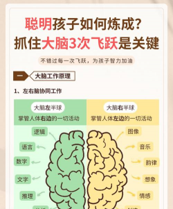 进化大脑游戏攻略，提升思维能力，掌握通关技巧
