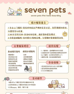 福宝游戏攻略，新手入门指南，快速上手技巧