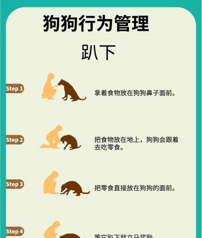 小狗捣蛋游戏怎么玩，掌握核心规则，体验欢乐互动