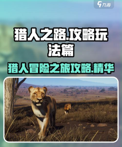 雄性猎人游戏攻略，新手入门指南，快速上手技巧