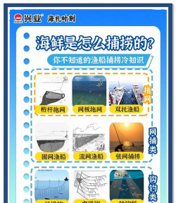 渔网户外游戏怎么玩，掌握核心规则，体验团队乐趣