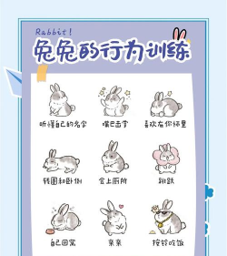 兔子楼梯游戏怎么玩，掌握核心规则，轻松上手不踩坑