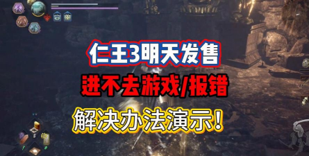 《仁王3》画面黑屏解决办法